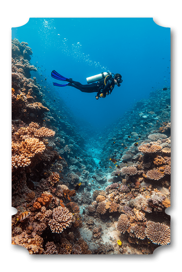 Sharm El-Sheikh & Cairo (8 Days / 7 Nights)